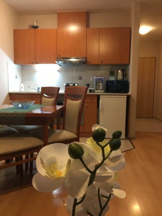 Orchidea Apartman Hegykő المظهر الخارجي الصورة