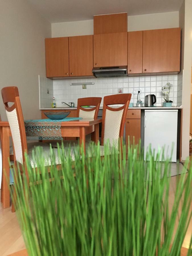 Orchidea Apartman Hegykő المظهر الخارجي الصورة