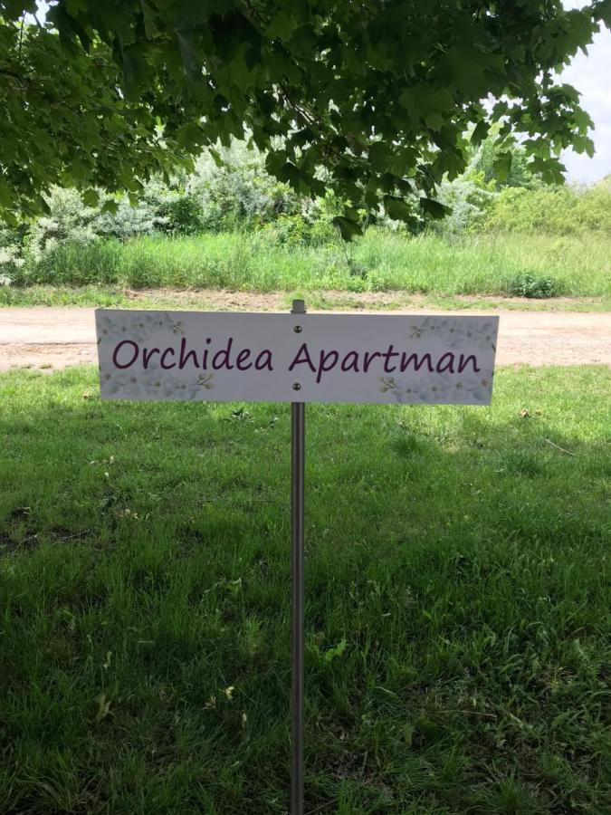Orchidea Apartman Hegykő المظهر الخارجي الصورة